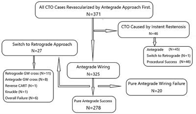 Impacts of Lesion Characteristics on Procedures and Outcomes of Chronic Total Occlusion Recanalization With Antegrade Guidewire True Lumen Tracking Techniques: A Substudy of Taiwan True Lumen Tracking Registry